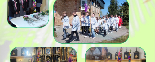 Niedziela Palmowa - Konkurs na Najładniejszą Palmę Wielkanocną